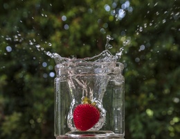 Spring 2022 Intermediate Digital Photography