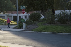 RichardHodgman TimeOfDayAfternoonPedestrian